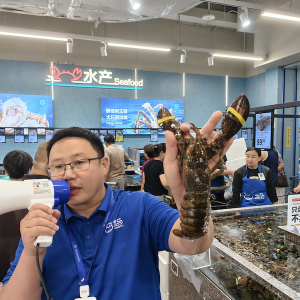 ���R�r��ɽ�|��6���䶨�����_�׵���ʽ����