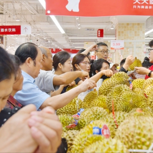 ��30�f(w��n)����ӿ�룡���|�ۿ۳������w�ĵ�ͬ���_�I(y��)��(chu��ng)�������M(f��i)�¸�