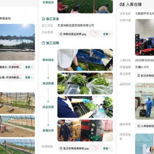 �������r�����|���r���¶��x���r��