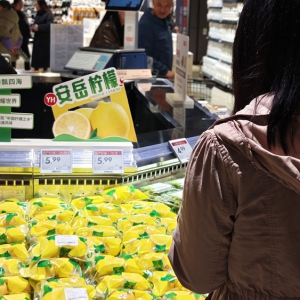 �Ĵ��׼ҿh���{(di��o)�ĵ�����������r������쟨���_�I(y��)