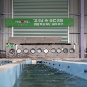 ���L��50%�������I�ˡ��氲���~���wϵ�ƾ����M(f��i)��ˮ�a(ch��n)��ȫ���]