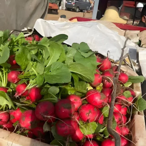 �������֣������¡��ߡ��ͣ���ɽ��48С�r������ֱ�_(d��)���o(j��)(li��n)�A