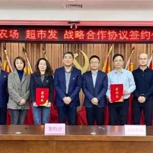 ���аl(f��)���r�������ĳɹ��wַ�������@