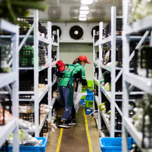 �����I�˽��K�}���_�}(c��ng)�����ٲ����³��Ј�(ch��ng)